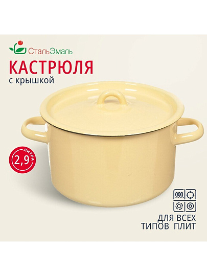 Кастрюля эмалированная сталь, 2.9 л, крышка сталь, СтальЭмаль, 2с16/1, в ассортименте, индукция