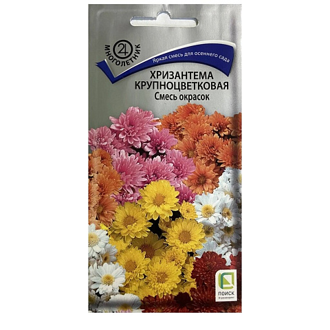 Семена Цветы, Хризантема, крупноцветковая, 0.05 г, смесь окрасок, цветная упаковка, Поиск