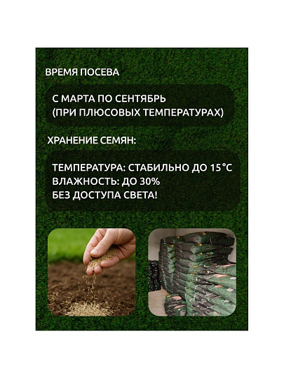 Семена Газон, Sport Meister Gras, 1 кг, мешок, ГазонCity