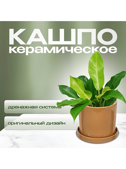 Горшок керамика, 21.5х21 см, для цветов, латте, Лидер №1, 4083