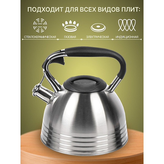 Чайник нержавеющая сталь, 2.7 л, со свистком, матовый, ручка с силиконовым покрытием, Daniks, индукция, PR-2201