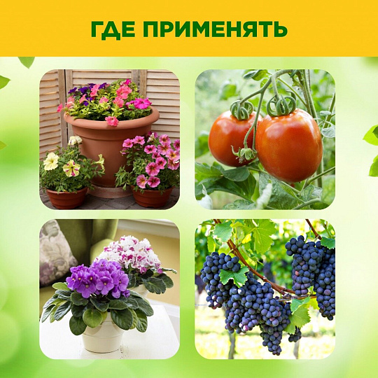 Фунгицид Серное мыло, 350 мл, жидкость, БиоМастер