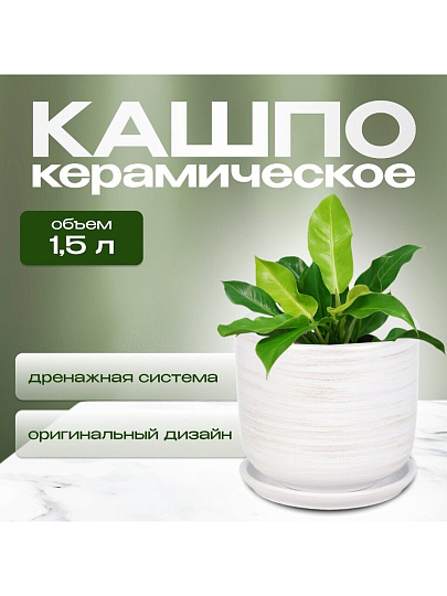 Горшок керамика, 1.5 л, 15х15.5 см, белый, Галактика №3, 008799