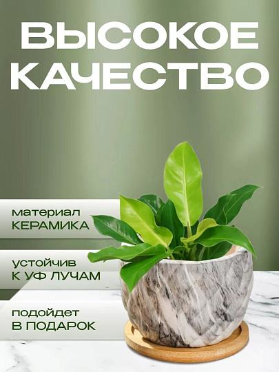 Горшок керамика, 0.2 л, 8.5х8.5х7 см, для кактусов и суккулентов, Мини, Y4-5358