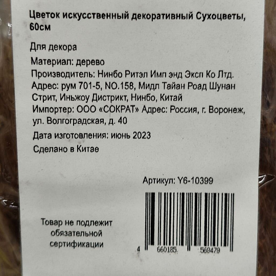 Цветок искусственный декоративный Сухоцветы, 60 см, бежевый, Y6-10399