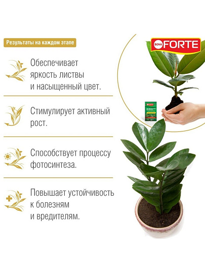 Удобрение Красота, для декоративно-лиственных растений, минеральное, жидкость, 10 мл, Bona Forte