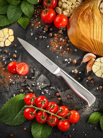 Нож кухонный Daniks, Ферра, универсальный, нержавеющая сталь, 12.5 см, рукоятка сталь, YW-A042-UT