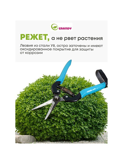 Секатор цветочный, 180 мм, Grandy, рукоятка металл, резина