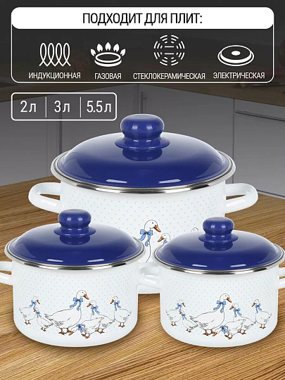 Набор посуды эмалированная сталь, 3 предмета, 2,3,5.5 л, индукция, СтальЭмаль, Гуси, 6KB191M