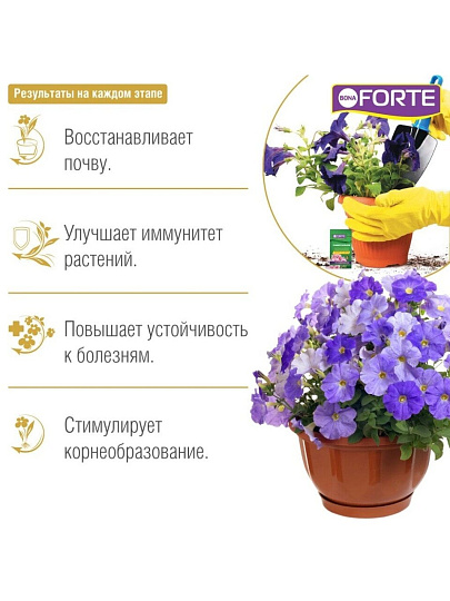 Удобрение Здоровье, универсальное, органоминеральное, жидкость, 10 мл, Bona Forte