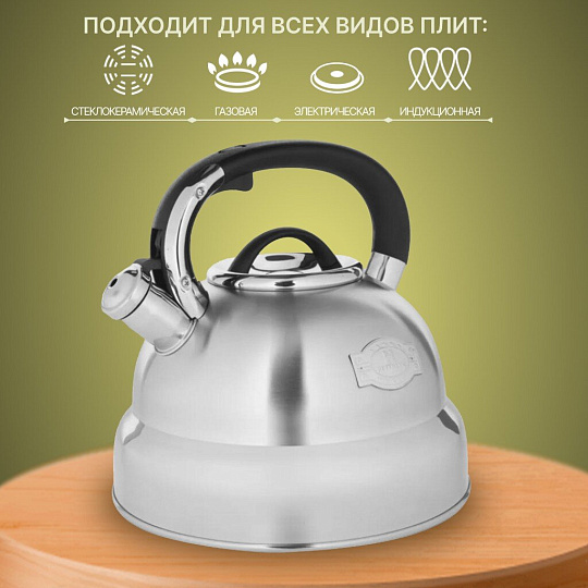 Чайник нержавеющая сталь, 4.8 л, со свистком, Hoffmann, индукция, НМ 5548-5
