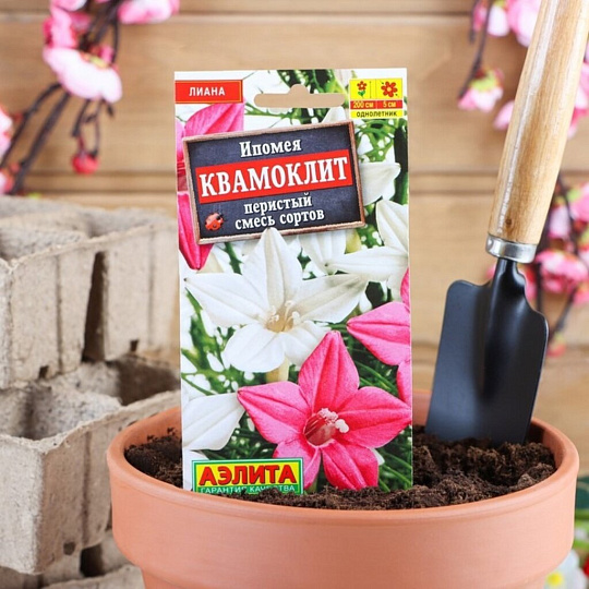 Семена Цветы, Ипомея, Квамоклит, 0.5 г, смесь сортов, цветная упаковка, Аэлита
