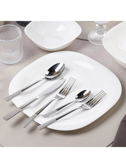 Набор столовых приборов нержавеющая сталь, 24 предмета, Daniks, Alta