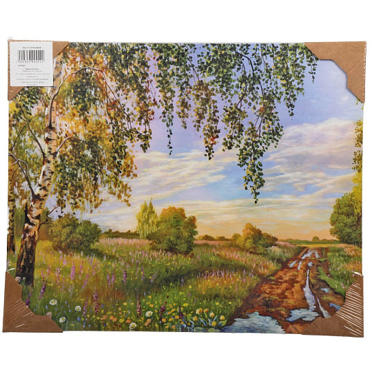 Картина холст, 48х39 см, T-1275S