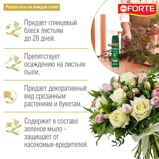 Удобрение Блеск, для листьев, жидкость, 300 мл, Bona Forte