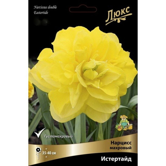 Луковицы Нарцисс махровый, Истертайд, 12-14/К, 3 шт