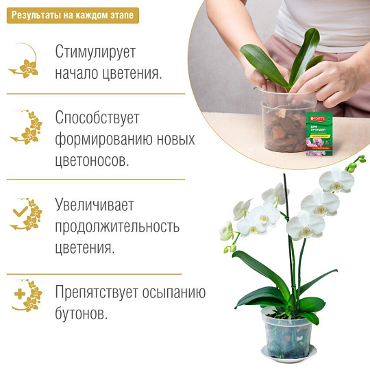 Удобрение Красота, для орхидей, минеральное, жидкость, 10 мл, Bona Forte