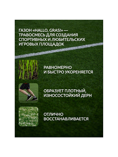 Семена Газон, Sport Meister Gras, 1 кг, мешок, ГазонCity