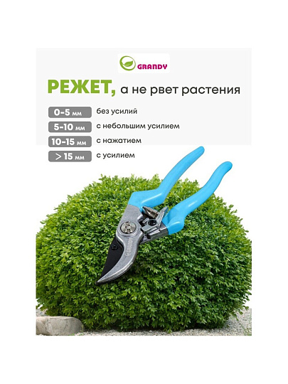 Секатор 200 мм, диаметр реза 20 мм, прямого реза, Grandy, рукоятка резина