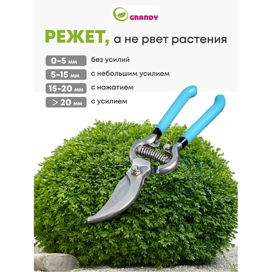 Секатор 200 мм, диаметр реза 25 мм, прямого реза, Grandy, рукоятка резина