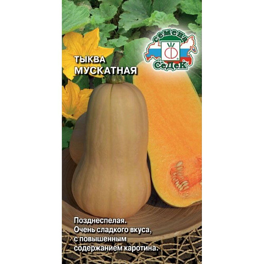 Семена Тыква, Мускатная, цветная упаковка, Седек