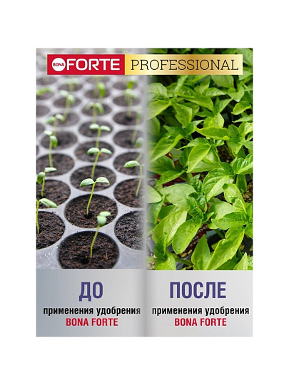 Удобрение для рассады, 100 г, Bona Forte