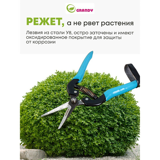 Секатор цветочный, 180 мм, Grandy, рукоятка металл, резина