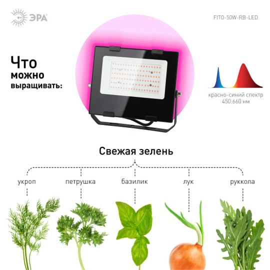 Светильник-прожектор светодиодный для растений, 50 Вт, 180-240 В, IP65, Эра, Фито FITO-50W-RB-LED, Б0046368