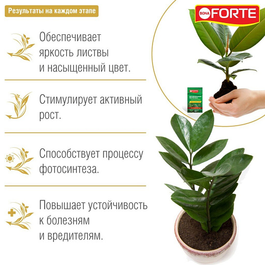Удобрение Красота, для декоративно-лиственных растений, 10 мл, Bona Forte