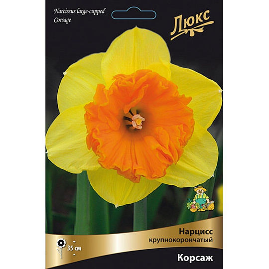 Луковицы Нарцисс крупнокорончатый, Корсаж, 12-14/К, 3 шт