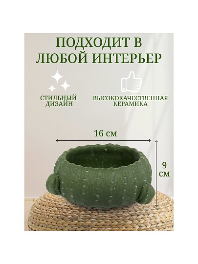 Кашпо керамика, 1.2 л, 16х9х9 см, Кактус, Y4-3079