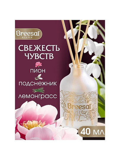 Аромадиффузор Breesal, 40 мл, Arome Sphere Свежесть чувств, ARD/002