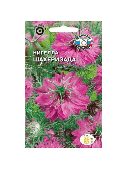 Семена Цветы, Нигелла, Шахеризада, цветная упаковка, Седек