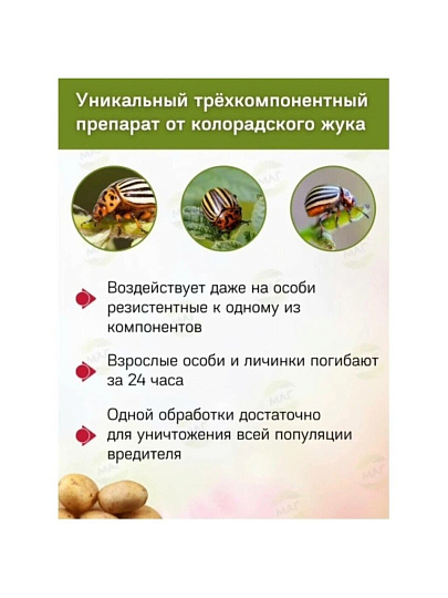Инсектицид Жукоед, от колорадского жука, жидкость, 9 мл, Avgust
