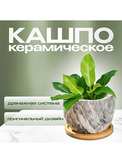 Горшок керамика, 0.2 л, 8.5х8.5х7 см, для кактусов и суккулентов, Мини, Y4-5358