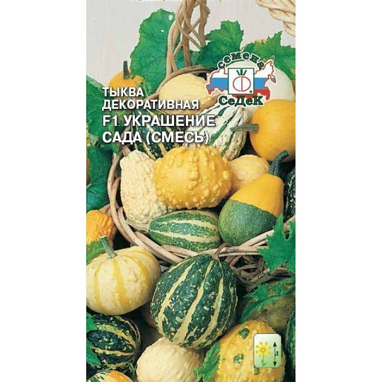 Семена Тыква, Украшение сада, декоративная, цветная упаковка, Седек