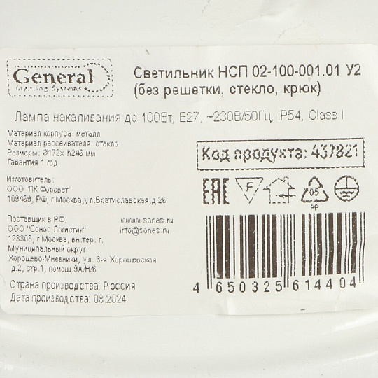 Светильник General Lighting Systems, НСП 02-100-001.01, 100 Вт, E27, на 1 лампочку, IP54, 24.6х24.6х17.2 см, без решетки, 437821