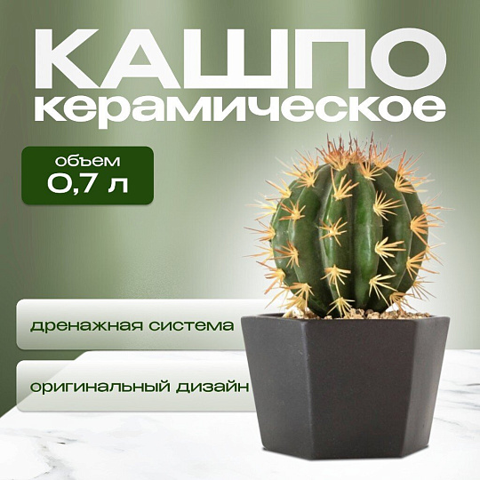 Кашпо керамика, 0.7 л, 12х8.5 см, шестигранник, черное, Эджес №2, 049720