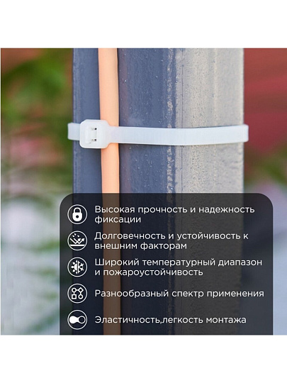 Хомут стяжной кабельный, 4.8х300 мм, нейлон, 100 шт, белый, Rexant, 07-1302