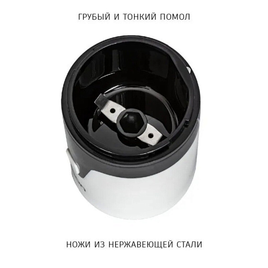 Кофемолка Econ, ECO-1510CG, 150 Вт, 60 г