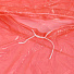 Дождевик пончо 80х116 см, с капюшоном, кнопки, полиэстер, UNI, в ассортименте, Y6-1824 - фото 4
