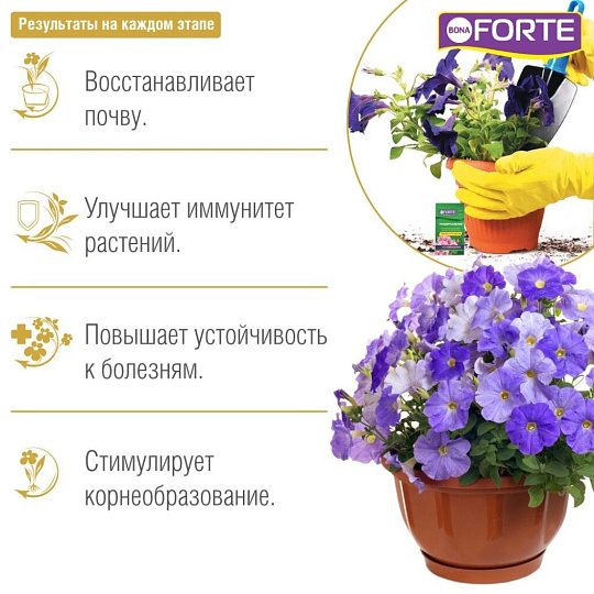 Удобрение Здоровье, универсальное, органоминеральное, жидкость, 10 мл, Bona Forte