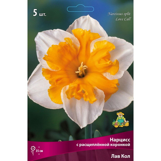 Луковицы Нарцисс с расщепленной коронкой, Лав Кол, 12-14/К, 5 шт