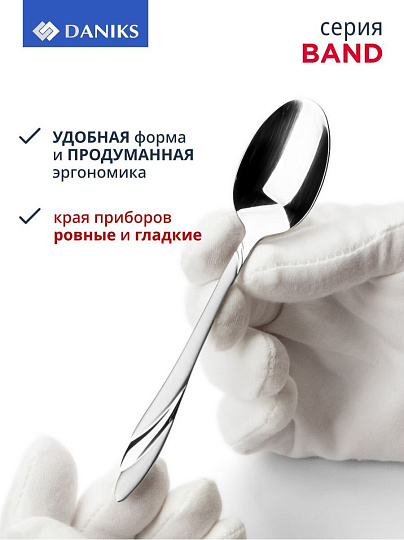 Набор столовых приборов нержавеющая сталь, 24 предмета, столовый, подарочная упаковка, Daniks, Band