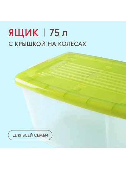 Ящик хозяйственный, 75 л, 68х47х35 см, с крышкой, в ассортименте, Darel, ЯФ0175