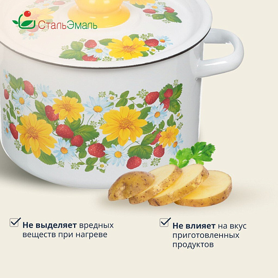 Кастрюля эмалированная сталь, 4.5 л, крышка сталь, СтальЭмаль, 1с17с, в ассортименте, индукция