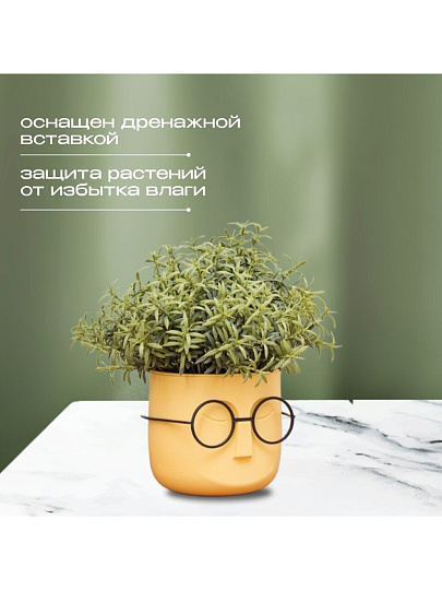Кашпо пластик, 0.65 л, 11.5х10.5 см, со вставкой, банановое, Idea, Стив, М 3079