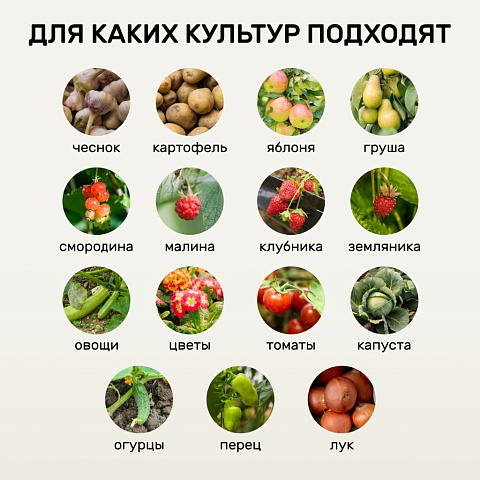 Удобрение Биомолекулы, для рассады, 400 мл, Удобряй