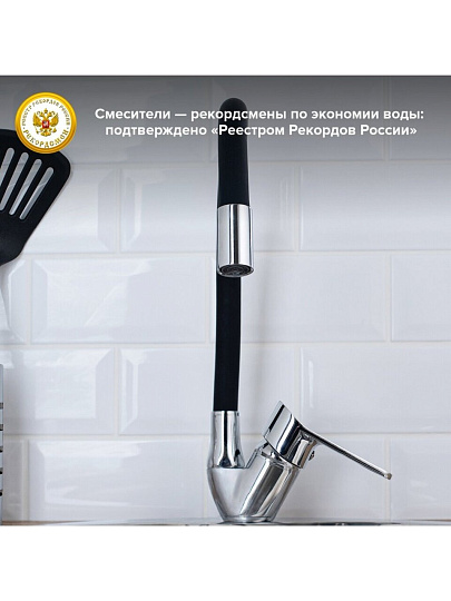 Смеситель для кухни, РМС, гибкий излив, с картриджем, SL137BL-016F