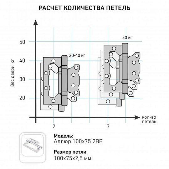 Петля накладная для деревянных дверей, Аллюр, 100х75х2.5 мм, универсальная, 2ВВ BL, 14532, 2 шт, коробка, матовый черный